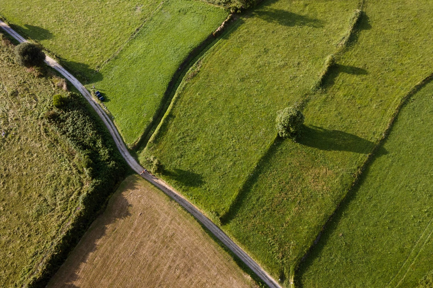 Convertir la compra de un terreno en un proyecto real de hogar